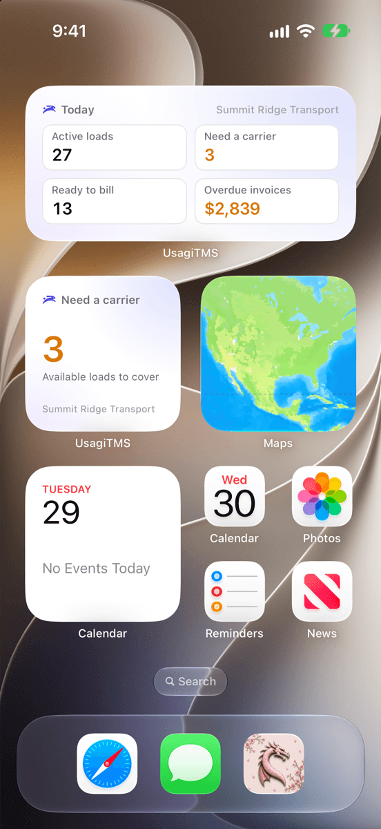 iPhone home screen with Usagi TMS widgets